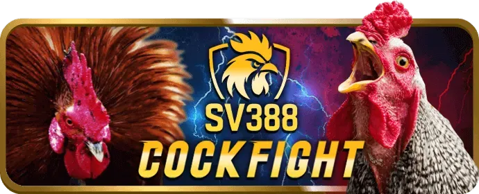 Đá gà cựa sắt 69vn06 nhà cái